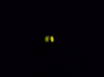 Smaller power LED glowing greenish-yellow under X-ray